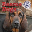 Rescue Dogs - Working Dogs