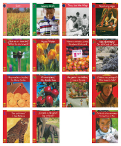 Early Reading Yellow Umbrella Books - Pack of 15 - Includes Spanish/English Bilingual Titles